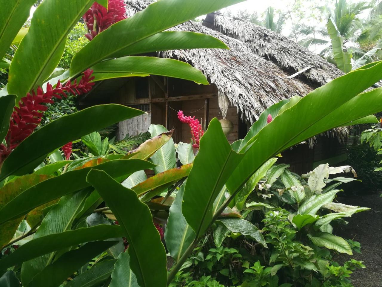 Posada Villamaga El Valle  Luaran gambar